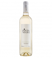 Bebida Vinho Branco Pinta Negra 750ml 