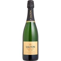 Bebida Espumante Prosseco Salton 750ml 