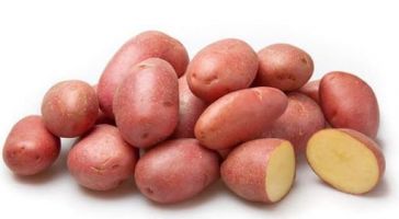 Batata Asterix  kg