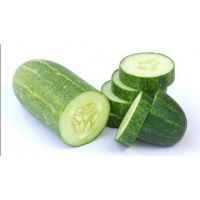 Pepino  kg