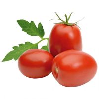 Tomate Italiano  kg