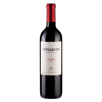 Bebida Vinho Benjamin Nieto 750ml Malbec