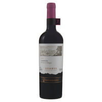 Bebida Vinho Ventisquero Reserva  750ml Carmenere