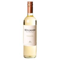 Bebida Vinho Benjamin Nieto 750ml Torrontes