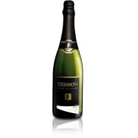 Bebida Espumante Terranova Brut 750ml 
