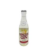 Bebida Ginger Easy Booze Vidro 200ml 
