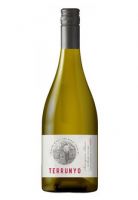 Bebida Vinho Terrunyo Sauvignon Blanc 750ml 