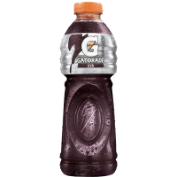 Gatorade 500ml Uva