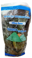 Alface Roxa Hidropônica 