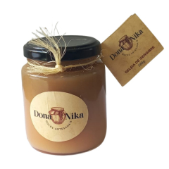 Géleia Gengibre Dona Nika 280g 
