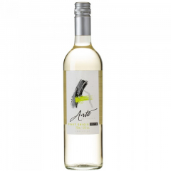 Bebida Vinho Argento Varietal 750ml Pinot Grigio