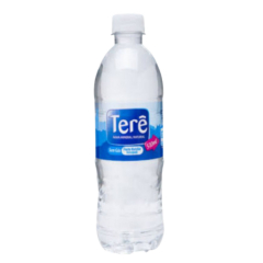 Água Mineral Natural Terê 510ml 